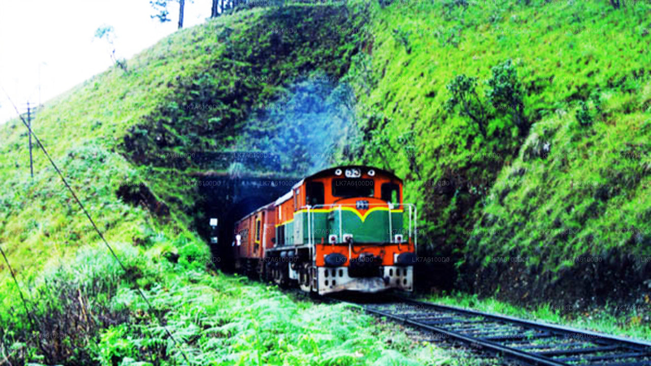 Viaje en tren de Badulla a Colombo (Tren № 1016 "Udarata Menike")