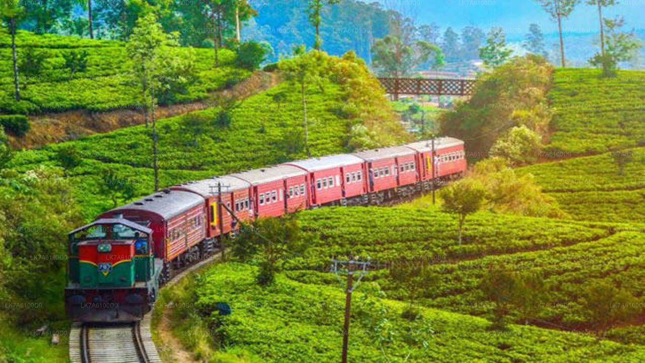 Viaje en tren de Badulla a Colombo (Tren № 1016 "Udarata Menike")