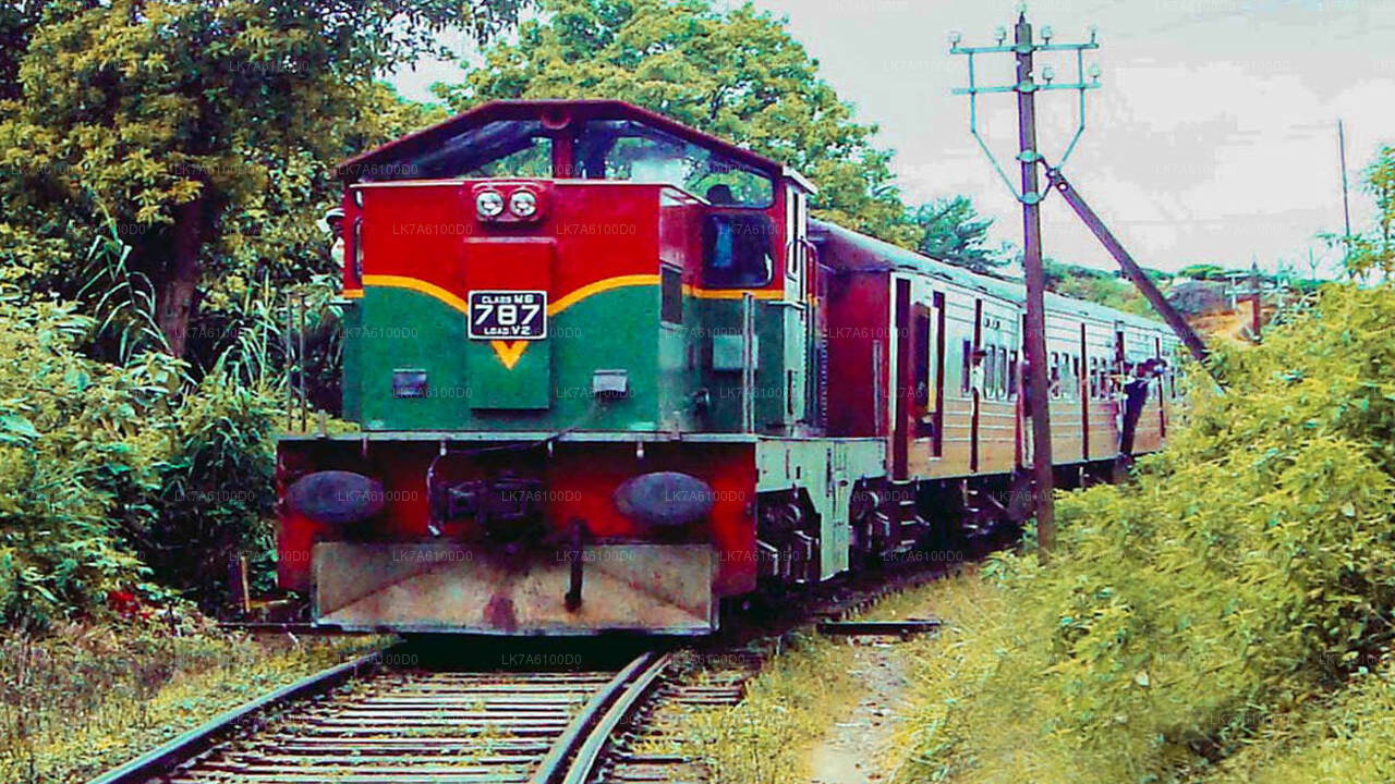 Viaje en tren de Badulla a Colombo (Tren № 1016 "Udarata Menike")
