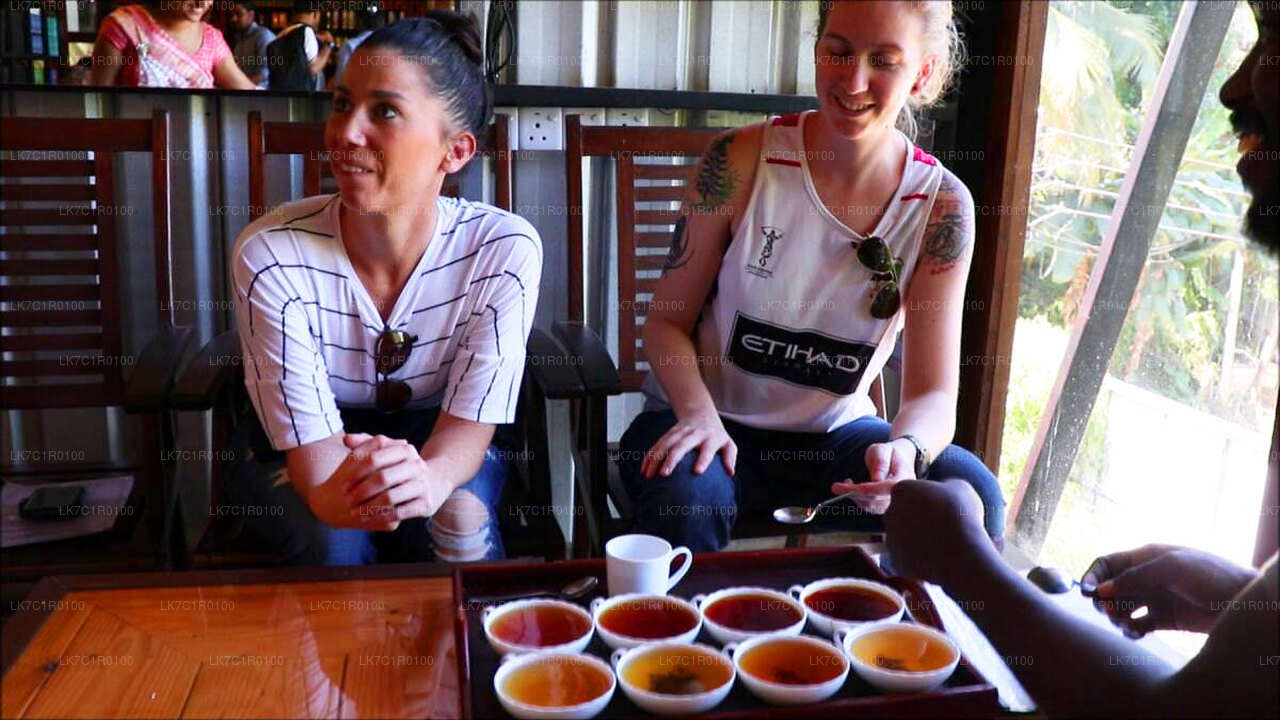Degustación de té de Ceilán de Nuwara Eliya