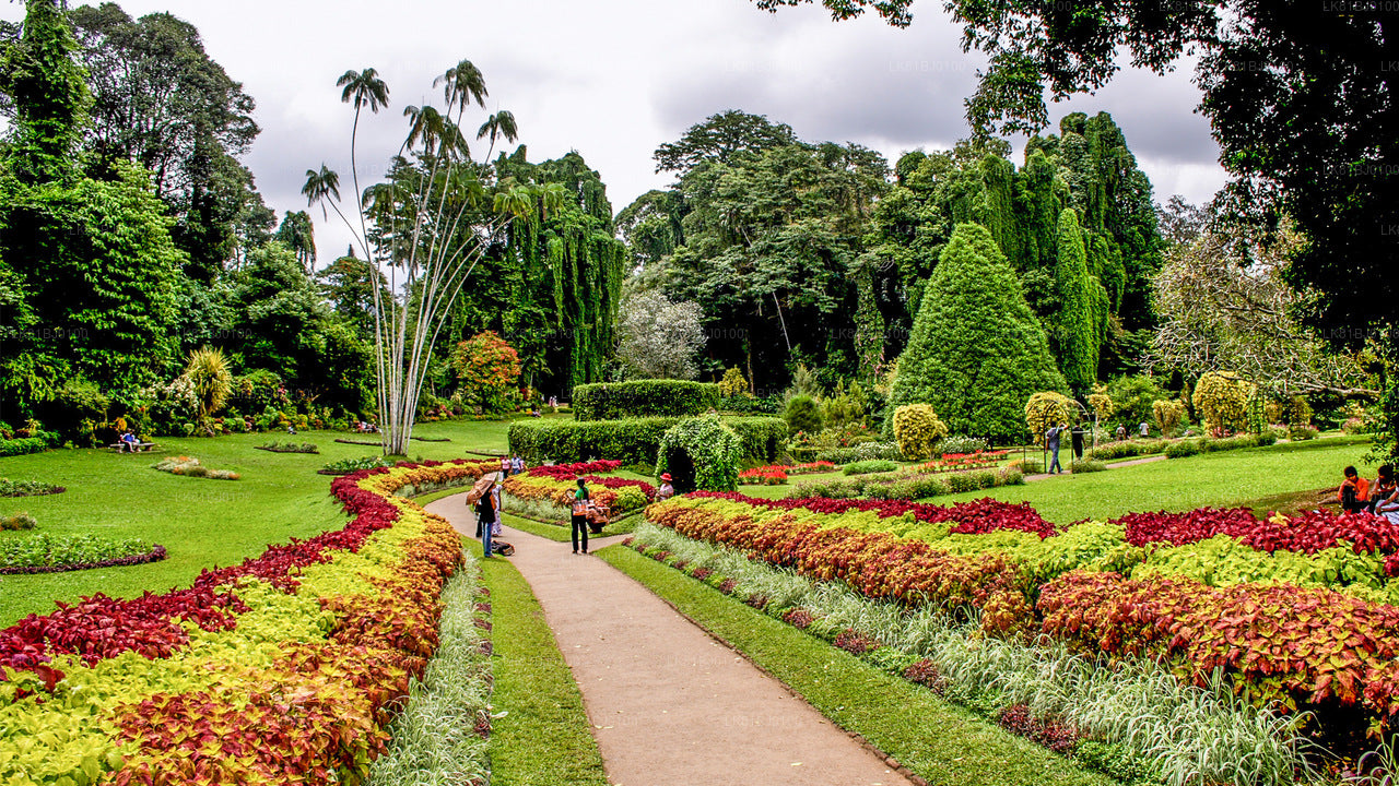 Excursión a la ciudad de Kandy desde el puerto de Colombo