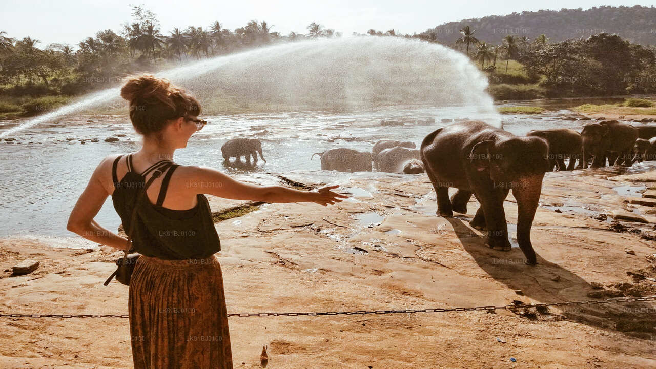 Excursión a la ciudad de Kandy desde el puerto de Colombo