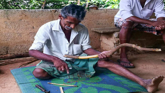 Excursión a la ciudad de Bentota desde el puerto de Colombo