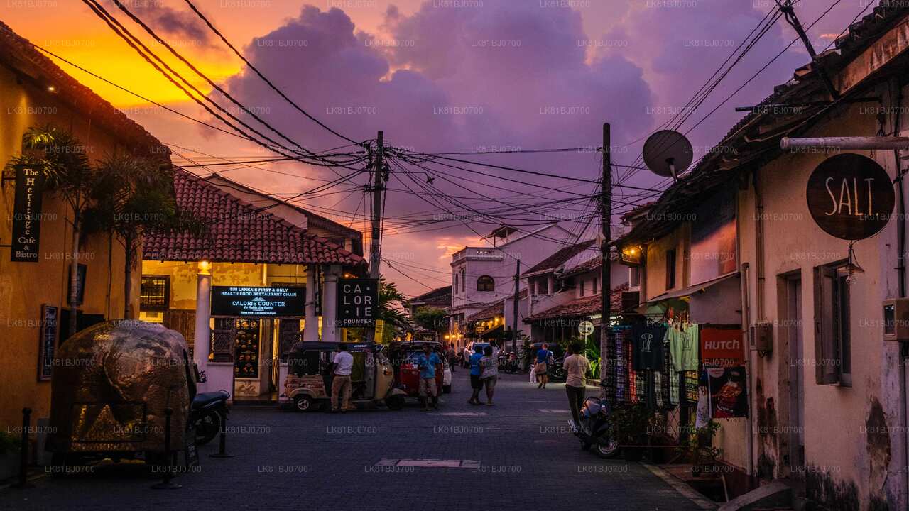 Lo más destacado de la costa sur desde el puerto de Colombo