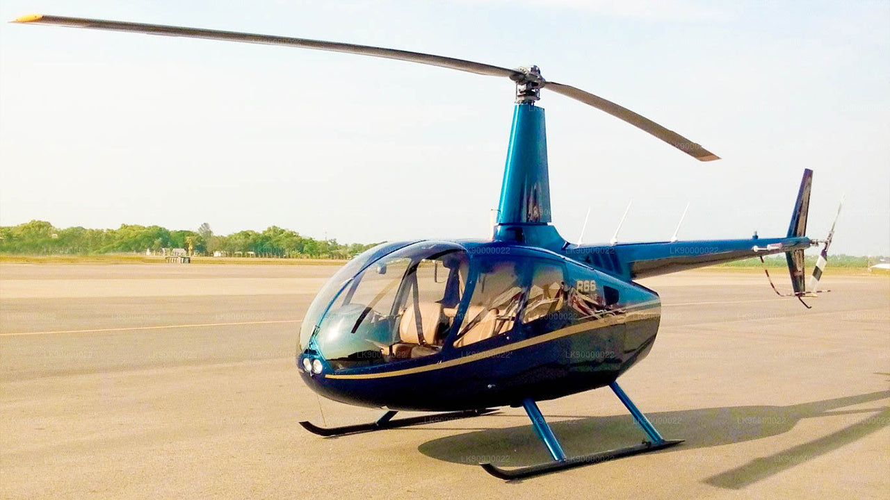 Robinson R66 (4 asientos)
