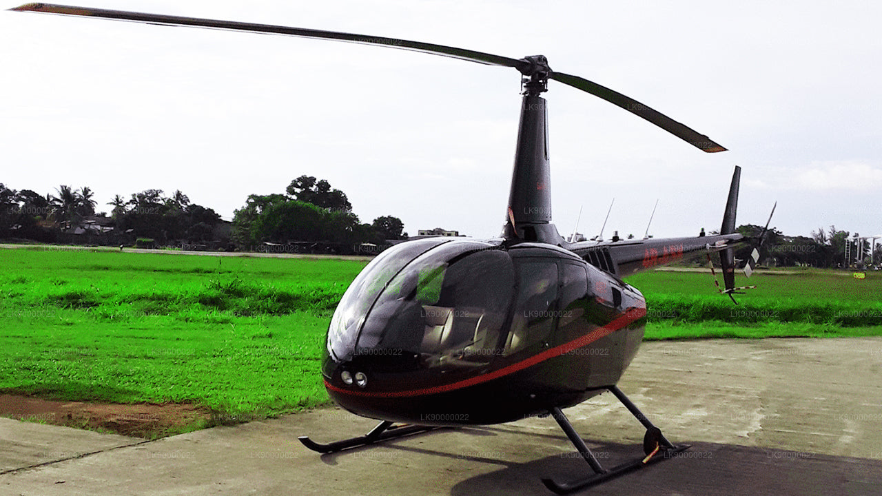 Robinson R66 (4 asientos)