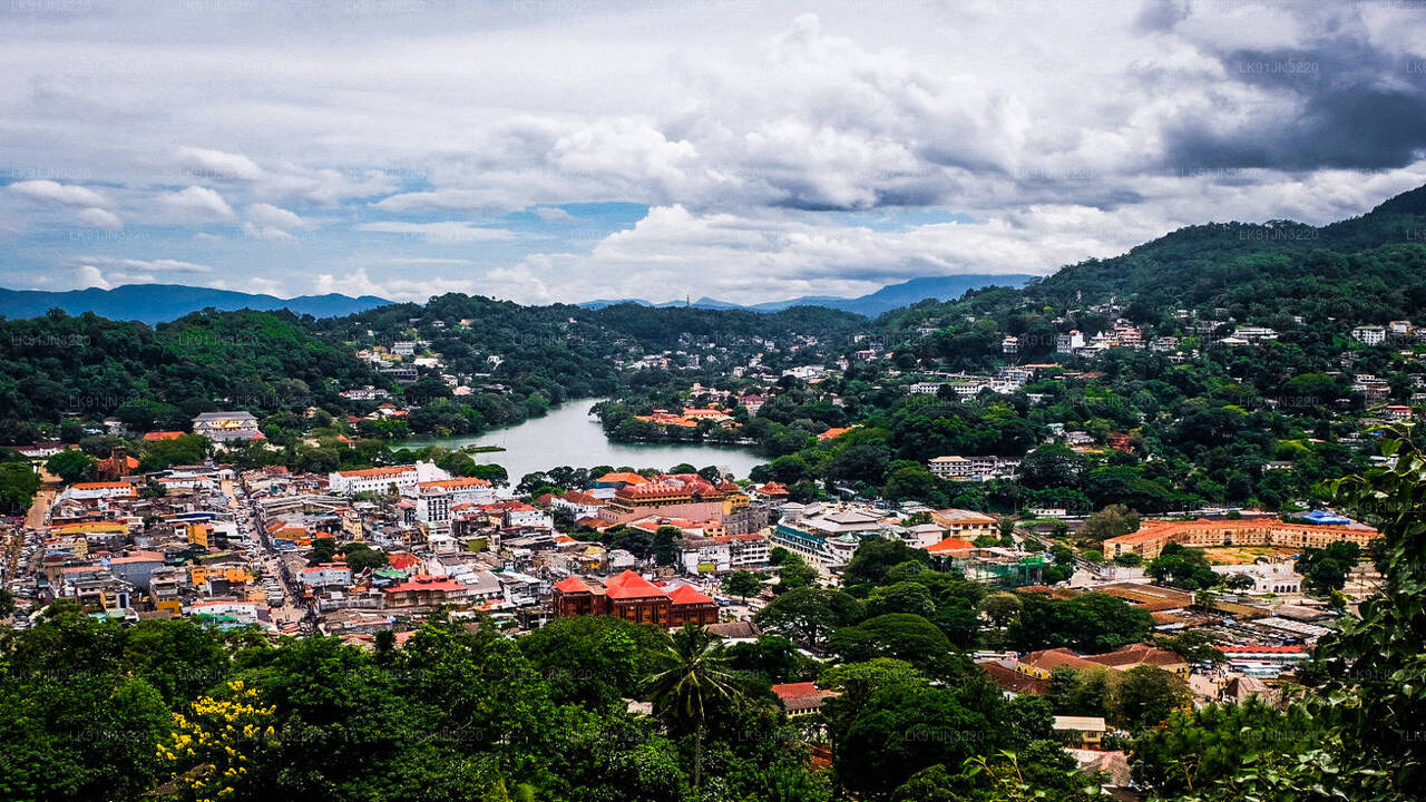 Discover Kandy by Helicopter from Hatton