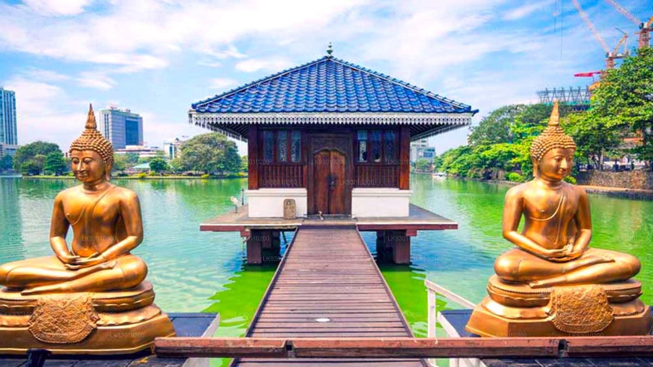 Experiencia de iconografía budista de Colombo