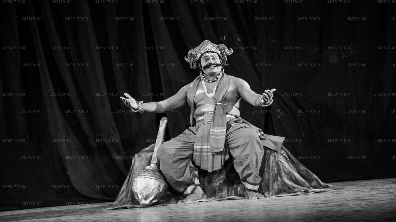 Una velada con un artista