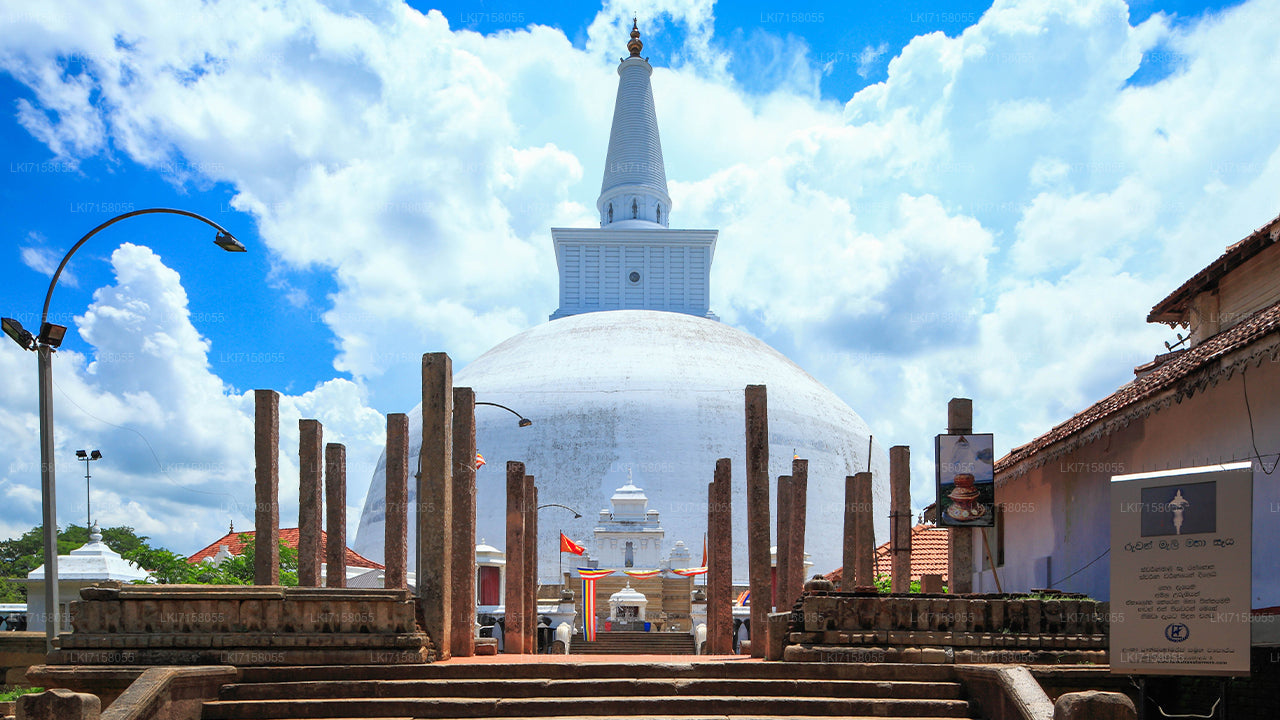 Experiencia espiritual de Anuradhapura