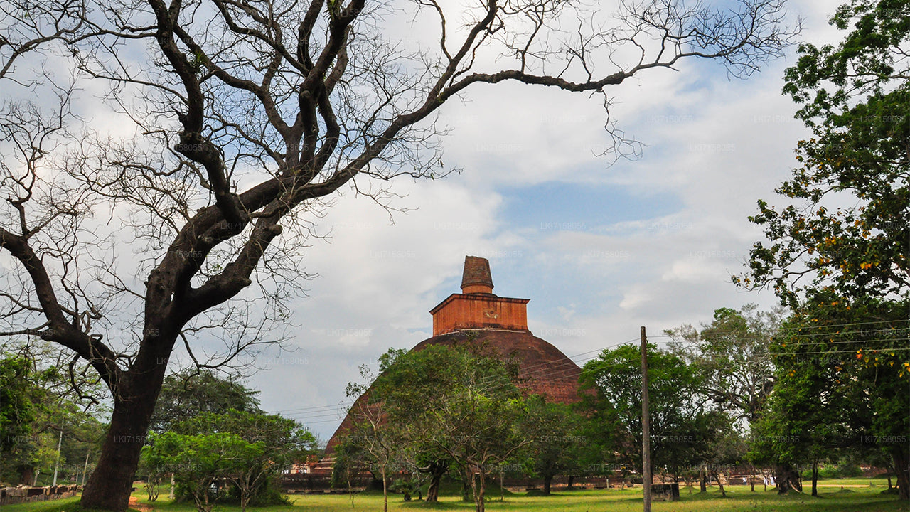 Experiencia espiritual de Anuradhapura