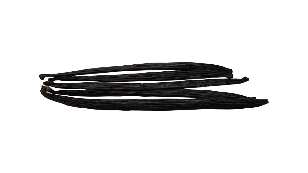 Granos de vainilla naturales Lakpura de Sri Lanka (Ceilán), grado «A»