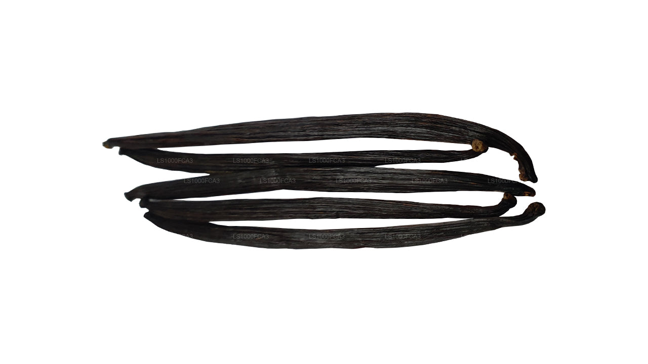 Granos de vainilla naturales Lakpura de Sri Lanka (Ceilán), grado «A»