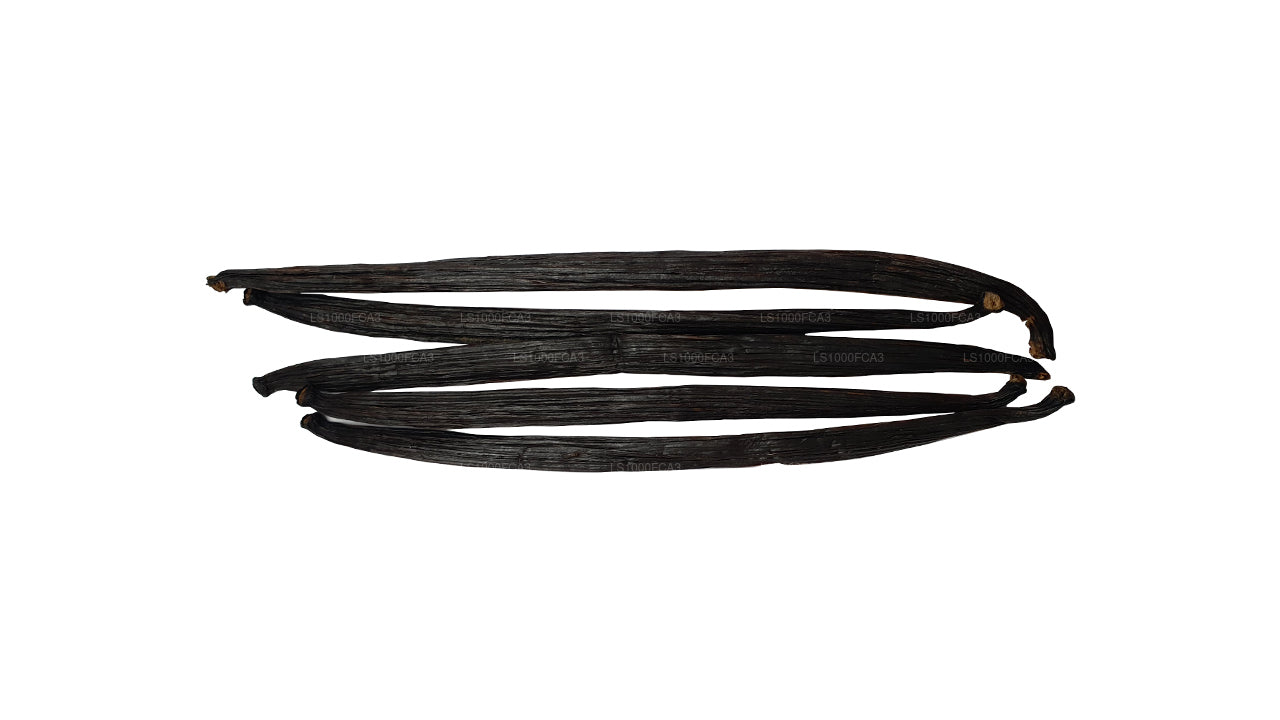 Granos de vainilla naturales Lakpura de Sri Lanka (Ceilán), grado «A»