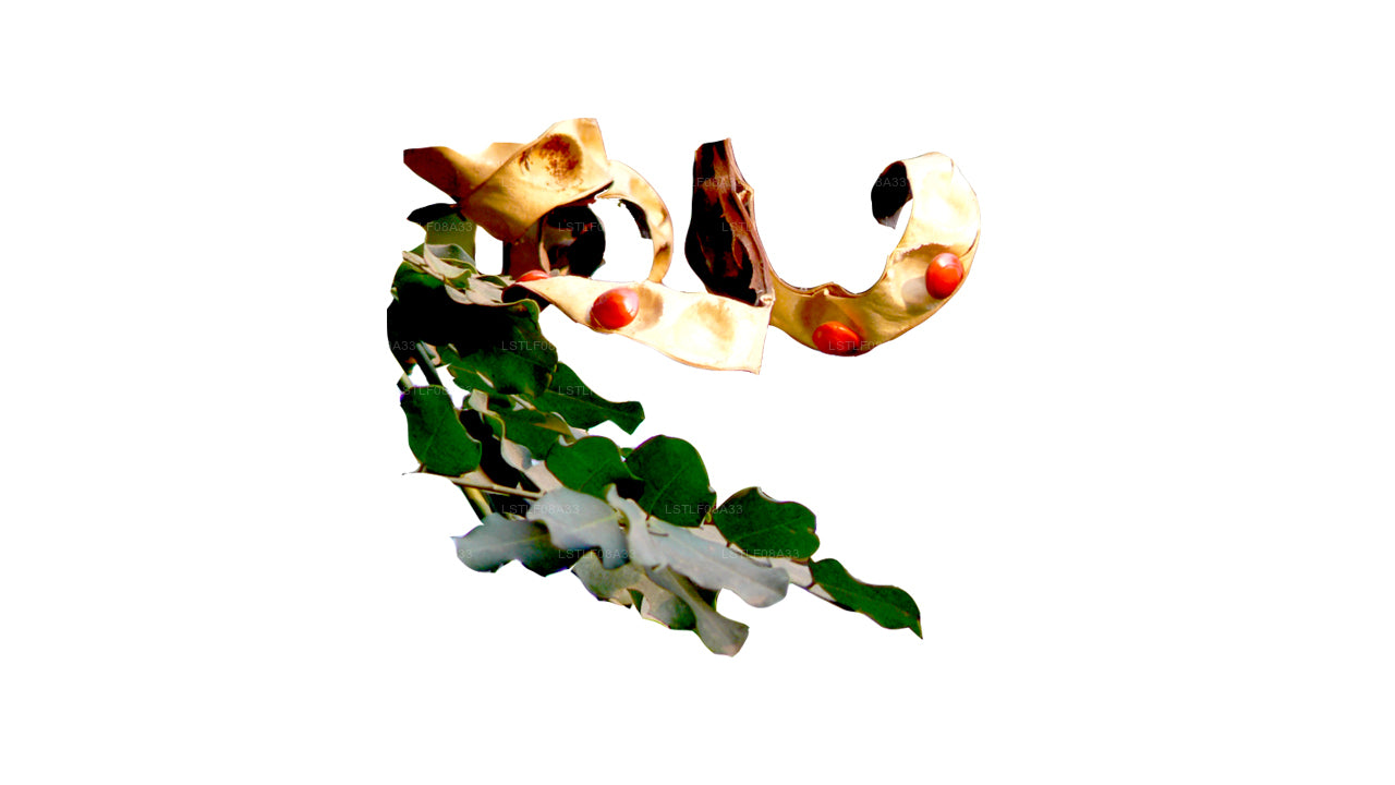 Semillas Lakpura Madatiya (semillas rojas, semillas decorativas) 250 semillas