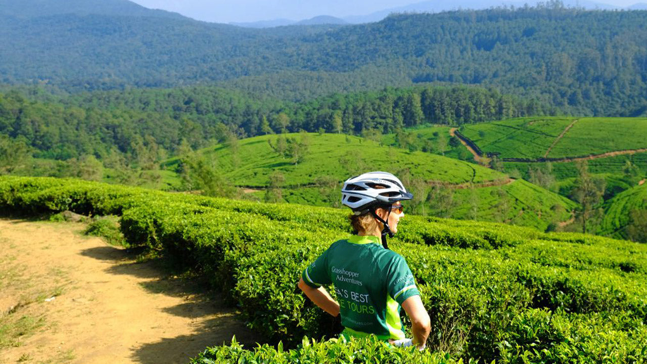Excursión en bicicleta a las tierras altas de Nuwara Eliya desde Kandy